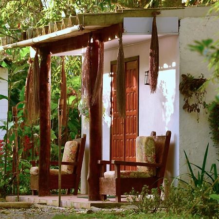 Casa A Beira Do Rio Jaguareguava Na Mata Atlantica Em Bertioga Sp Βίλα Εξωτερικό φωτογραφία