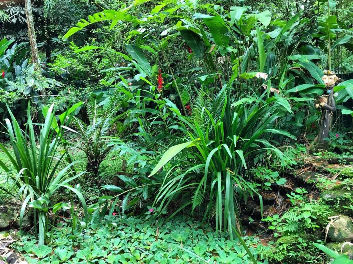 Casa A Beira Do Rio Jaguareguava Na Mata Atlantica Em Bertioga Sp Βίλα Εξωτερικό φωτογραφία