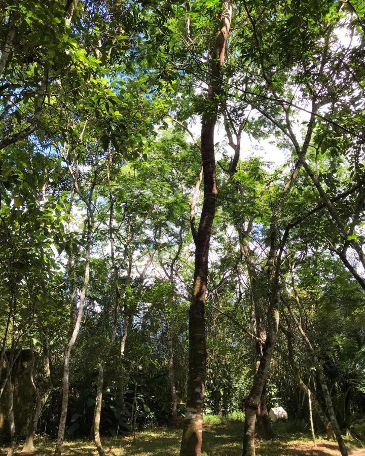 Casa A Beira Do Rio Jaguareguava Na Mata Atlantica Em Bertioga Sp Βίλα Εξωτερικό φωτογραφία