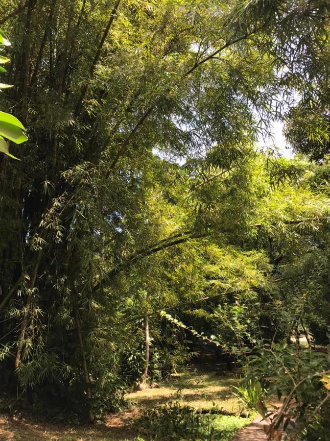 Casa A Beira Do Rio Jaguareguava Na Mata Atlantica Em Bertioga Sp Βίλα Εξωτερικό φωτογραφία